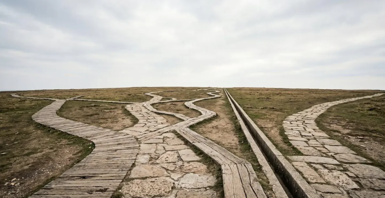Branching pathways of weathered stone converging toward a central point, visualizing flexible strategic systems over a rigid line.