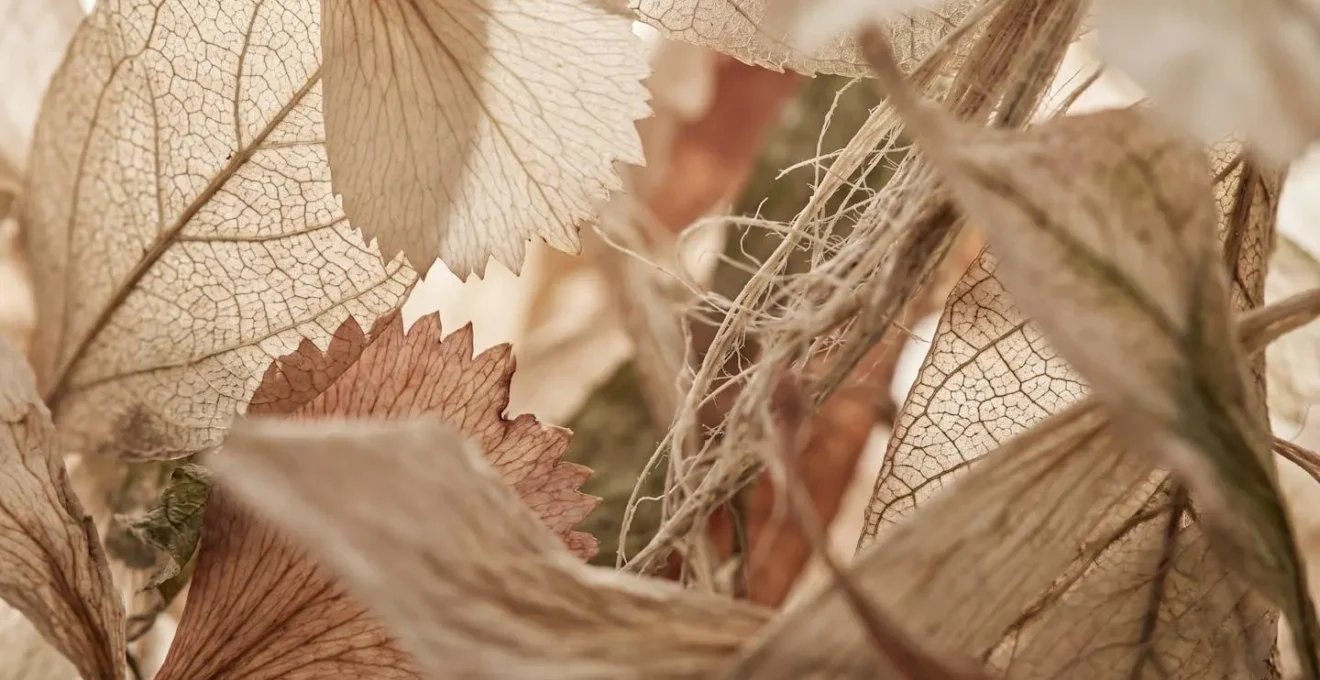 Macro detail of intersecting natural elements representing scattered attention and cognitive fragmentation