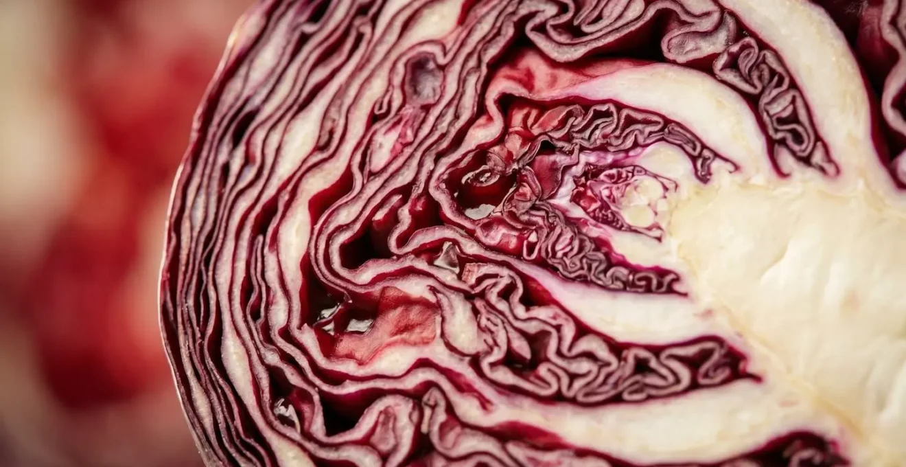 Macro photograph capturing textural details representing cellular inflammation and vascular health assessment