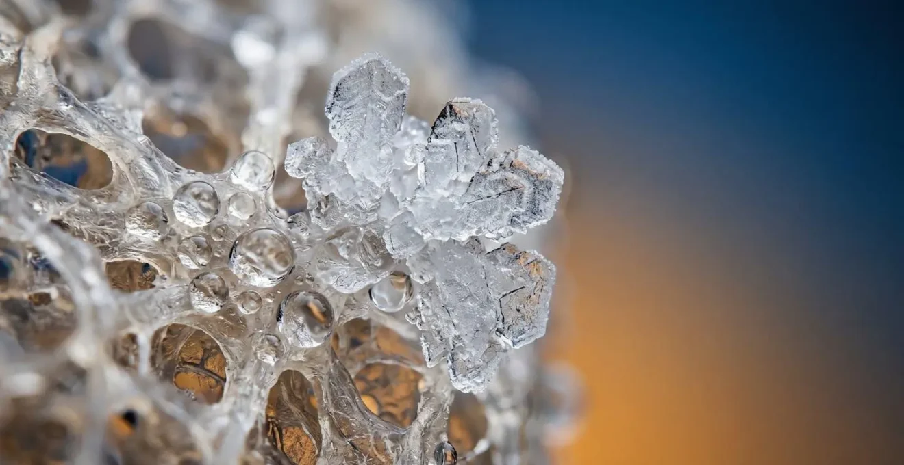 Macro photography of cellular energy shutdown representing the Cell Danger Response mechanism