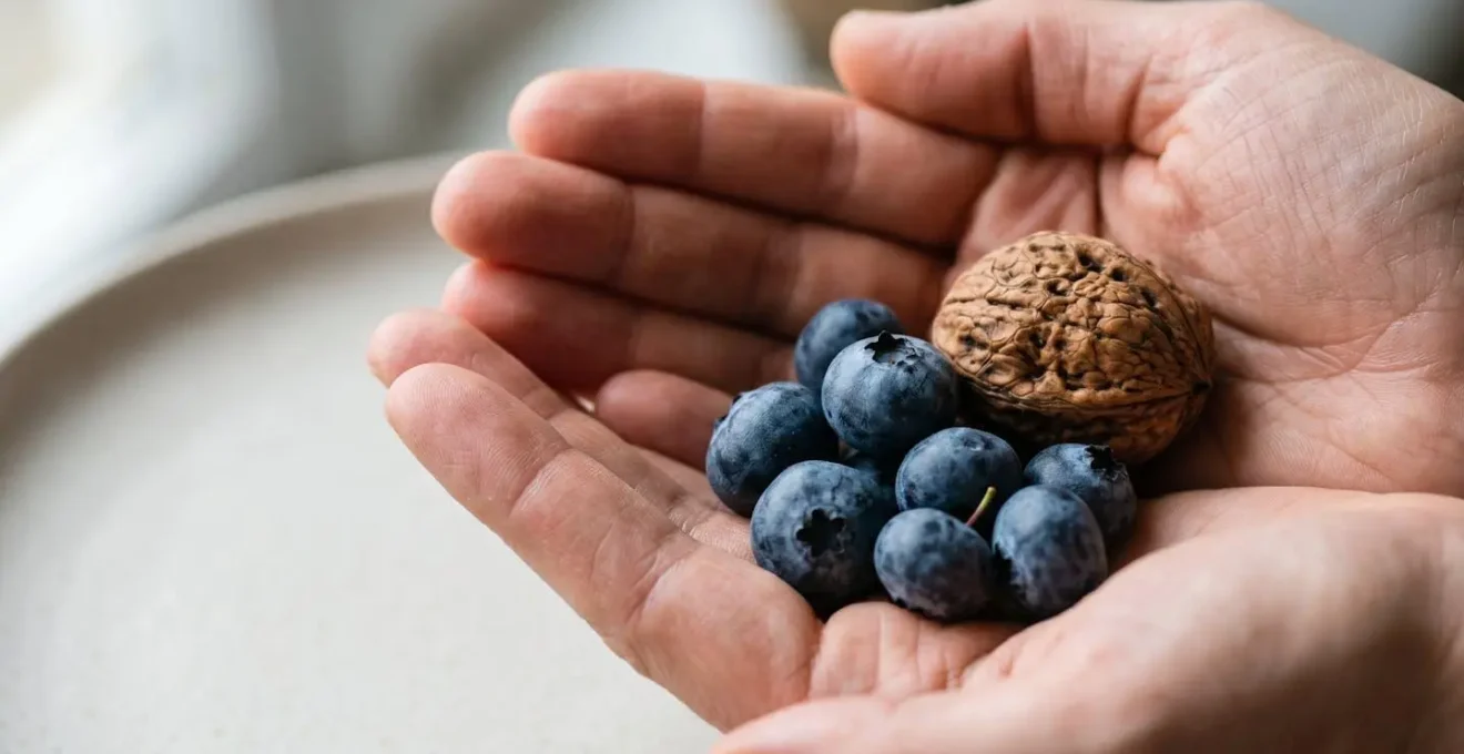 Close-up of hands gently holding a bowl of fresh blueberries and walnuts in natural window light representing brain-supportive nutrition during work breaks
